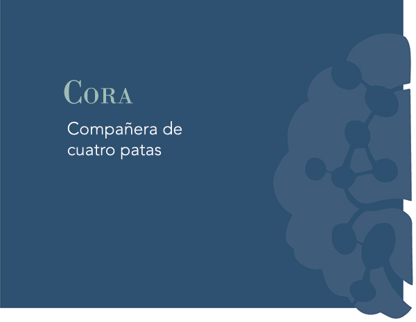 Cora, nuestra ayudante de cuatro patas.